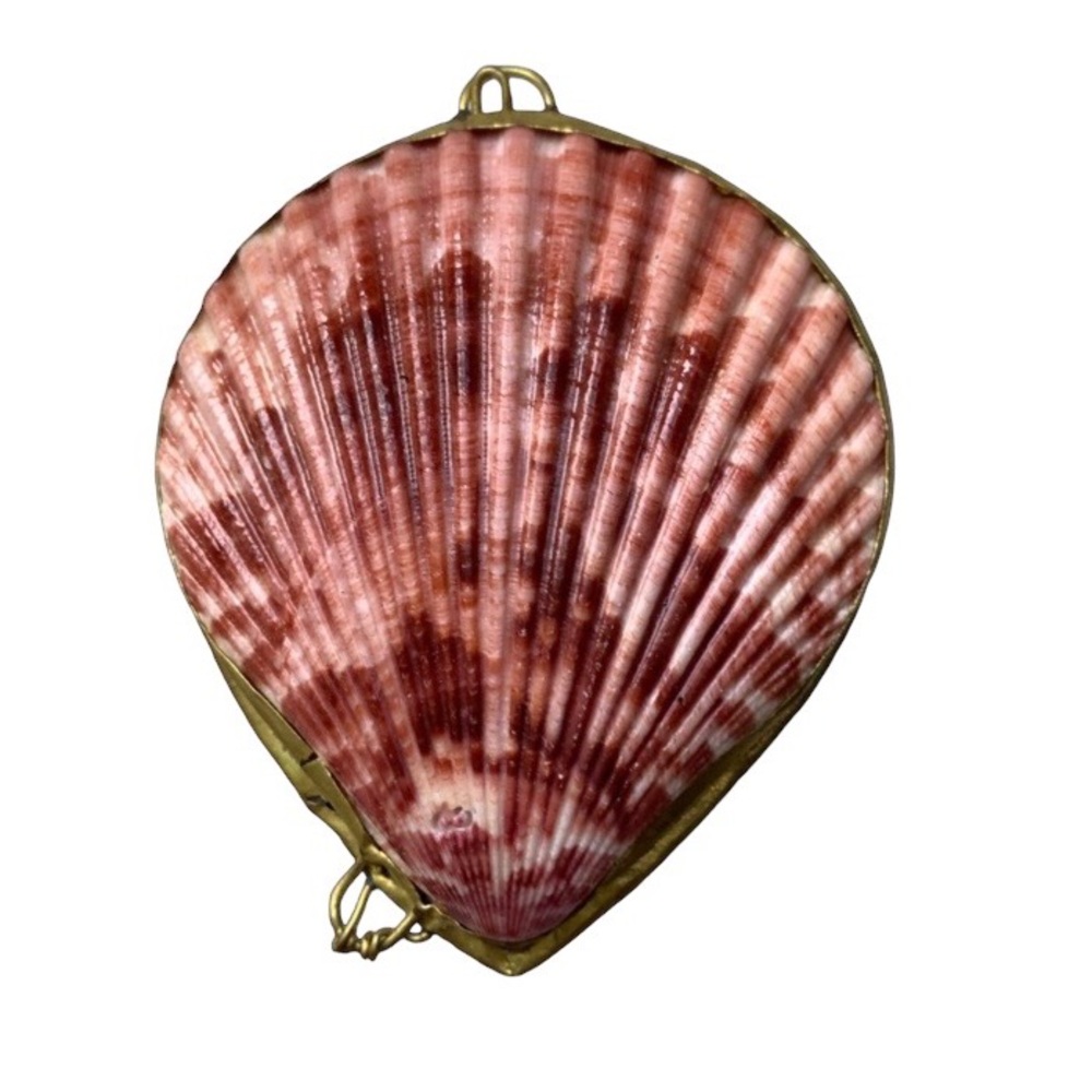 New Two’s Company Real Sea Shell Sunset Colors Ring Holder Pill Box Trinket - Picture 1 of 7